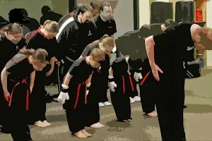 Academy of Modern Martial Arts image