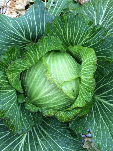 Farm «Coverdale Farm Preserve of Delaware Nature Society», reviews and photos, 543 Way Rd, Greenville, DE 19807, USA