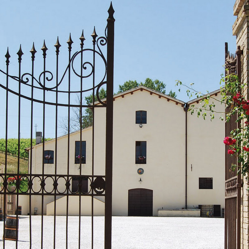 Azienda Agraria Scacciadiavoli of Pambuffetti