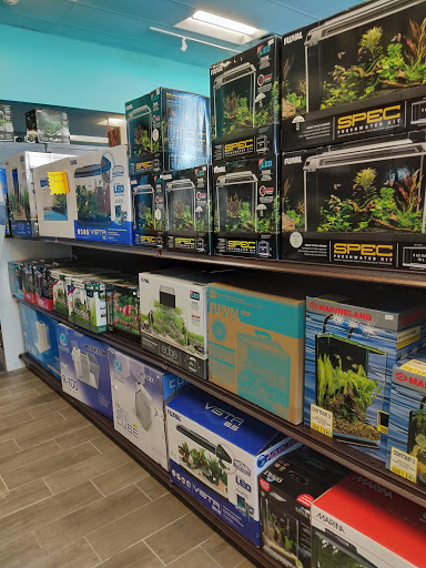Tropical Fish Store «Aquatic Wildlife Co», reviews and photos, 70 Buckland Rd, South Windsor, CT 06074, USA