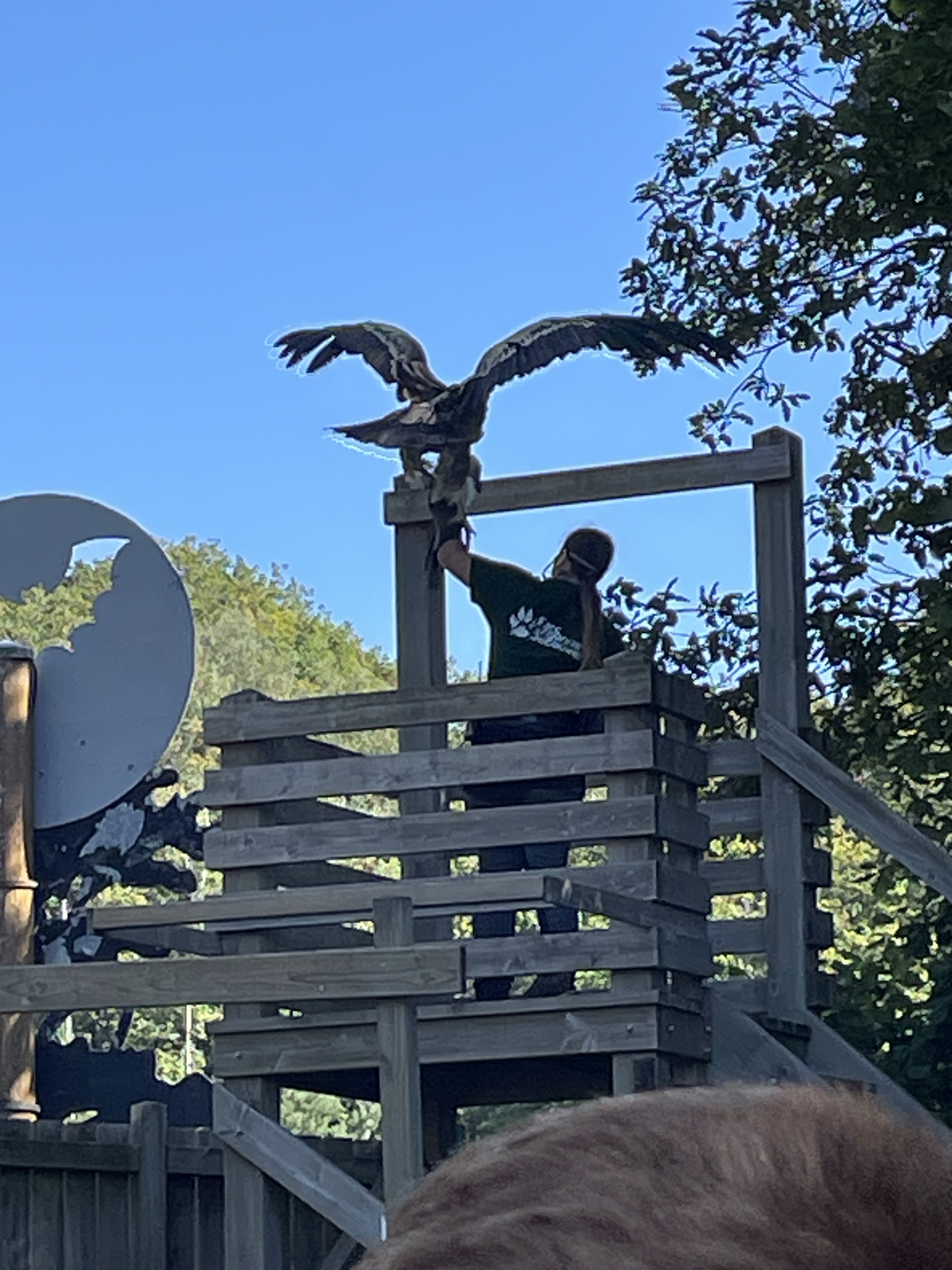 Photo n° 14 de l'avis de catherine.h fait le 22/08/2023 à 10:19