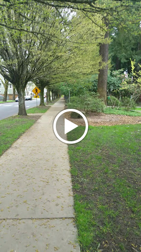 Park «Sellwood Park», reviews and photos, SE Miller St & SE 7th Ave, Portland, OR 97202, USA