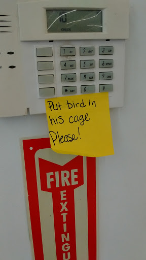 Pet Store «We Love Pets», reviews and photos, 1433 Coshocton Ave, Mt Vernon, OH 43050, USA