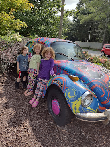 Shopping Mall «Lakeshore Crossing Shopping Center», reviews and photos, 410 Shallowford Rd, Gainesville, GA 30504, USA