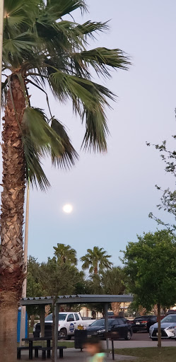 Park «Zinnia Park», reviews and photos, 5201 N 29th St, McAllen, TX 78504, USA