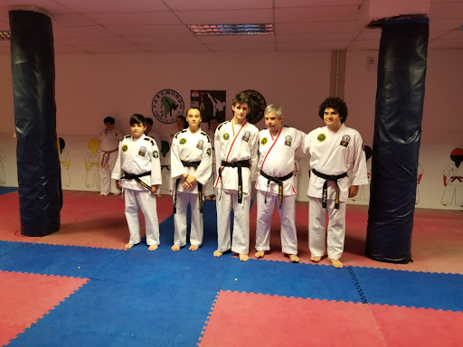 Taekwondo Malvin