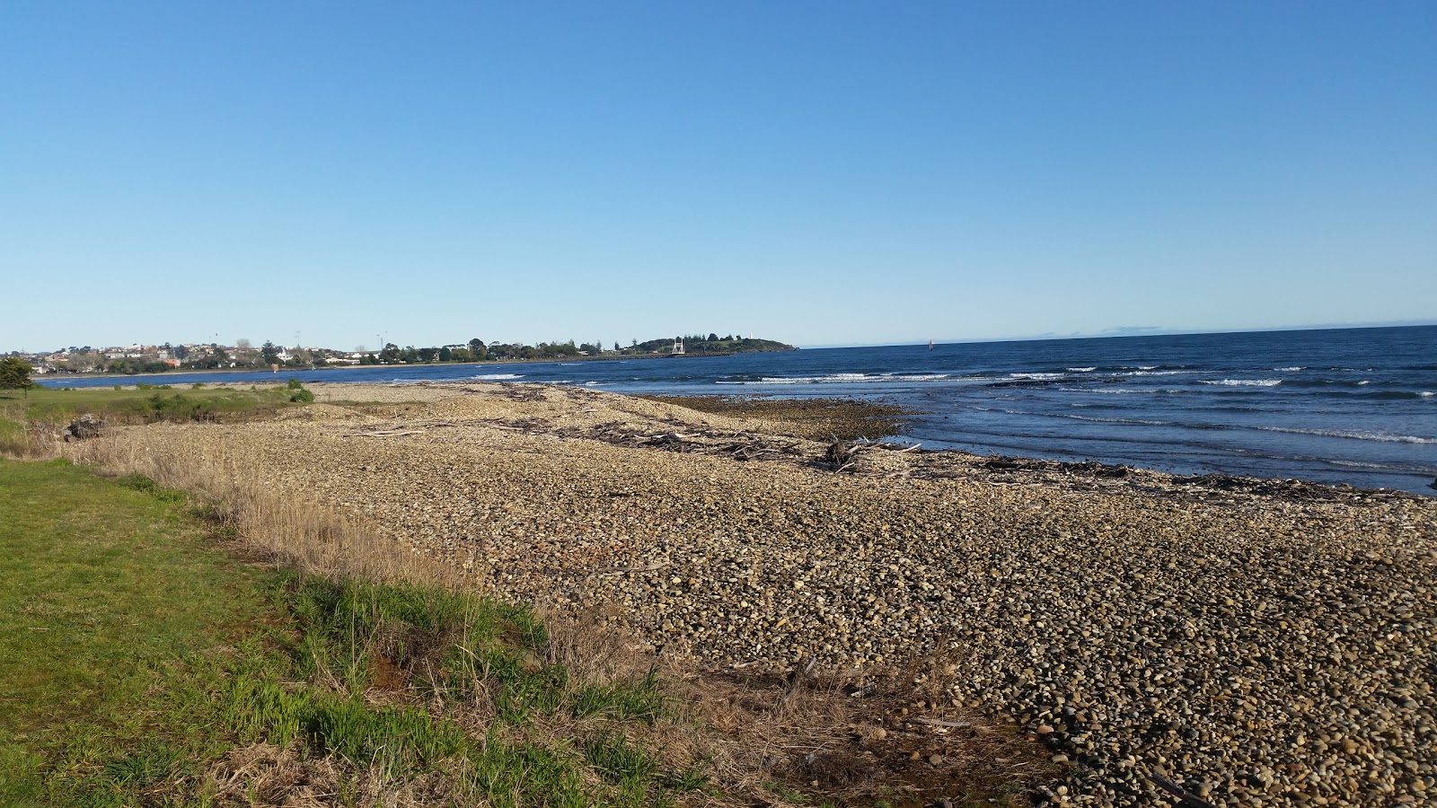 Foto di East Devonport Beach con molto pulita livello di pulizia