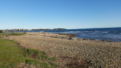 Foto di East Devonport Beach con molto pulita livello di pulizia