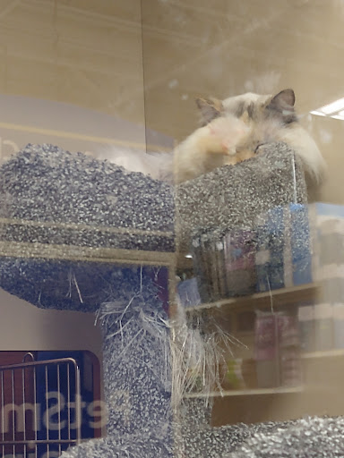 Pet Supply Store «PetSmart», reviews and photos, 745 W Huntington Dr, Monrovia, CA 91016, USA