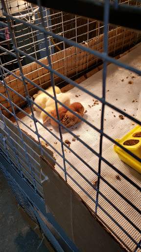 Twin Oaks Feed & Supply