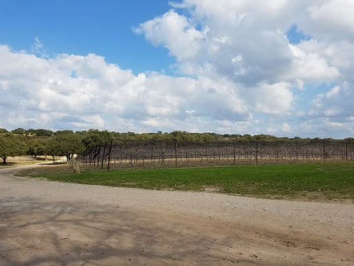 Winery «Westcave Cellars Winery», reviews and photos, 25711 Hamilton Pool Rd, Round Mountain, TX 78663, USA