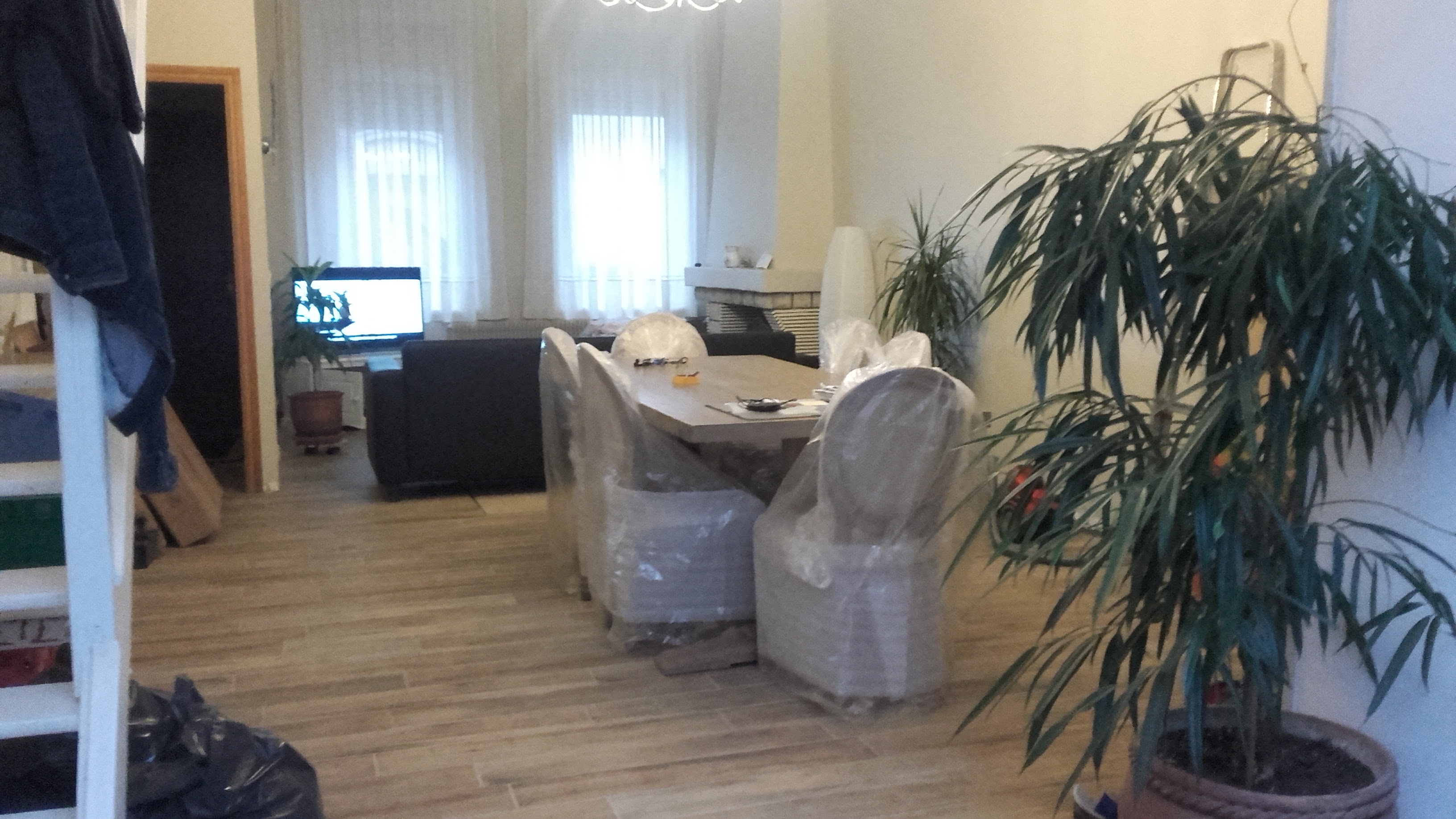 Photo n° 5 de l'avis de filomena.e fait le 20/01/2020 à 15:41