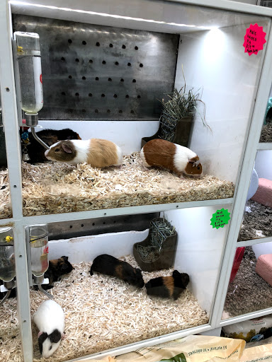 Pet Supply Store «Buckles Feed Depot & Pet Supply», reviews and photos, 220 S 4th St, Lafayette, IN 47901, USA