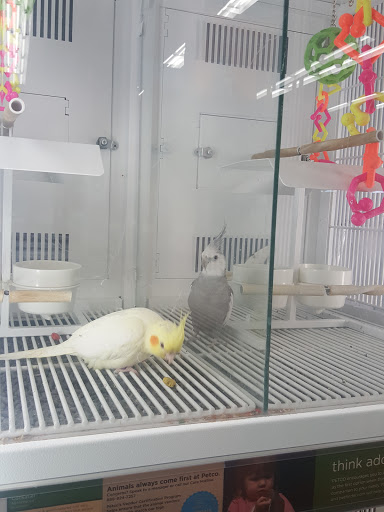 Pet Supply Store «Petco Animal Supplies», reviews and photos, 2210 N Eagle Rd, Meridian, ID 83646, USA