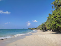 Zdjęcie Plage de Sainte Luce z poziomem czystości wysoki