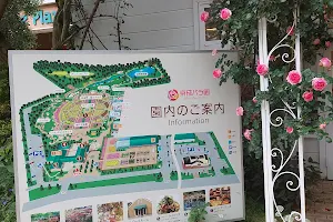Keisei Rose Garden image