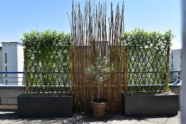 Rezensionen über ID Terrasse et Jardin in Bulle - Gartenbauer