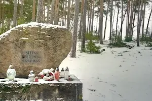 Pomnik Stefana Bobrowskiego image