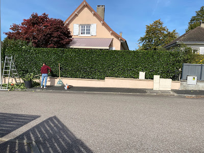 SAP Jardinage et multi-services à Limoges