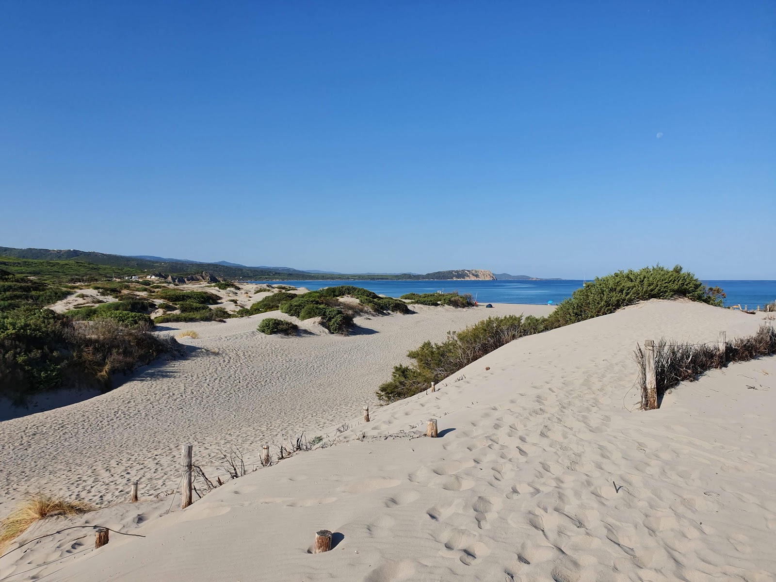 Foto di Spiaggia La Liccia - luogo popolare tra gli intenditori del relax
