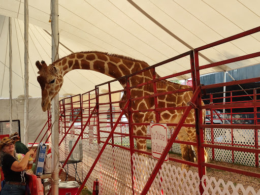 Fairground «Florida State Fairgrounds», reviews and photos, 4800 U.S. 301, Tampa, FL 33610, USA