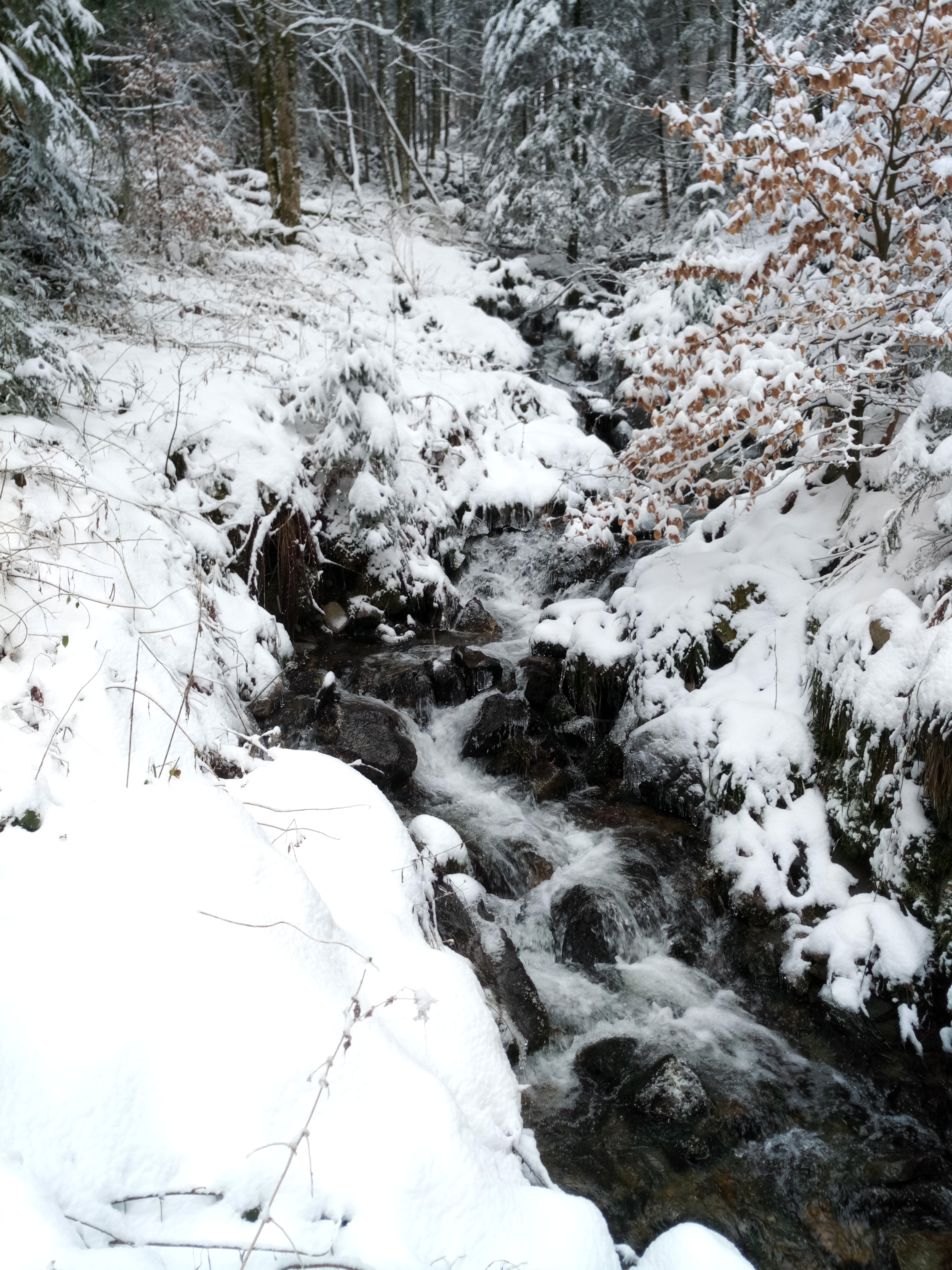 Photo n° 2 de l'avis de Sylvain.a fait le 21/03/2018 à 17:16