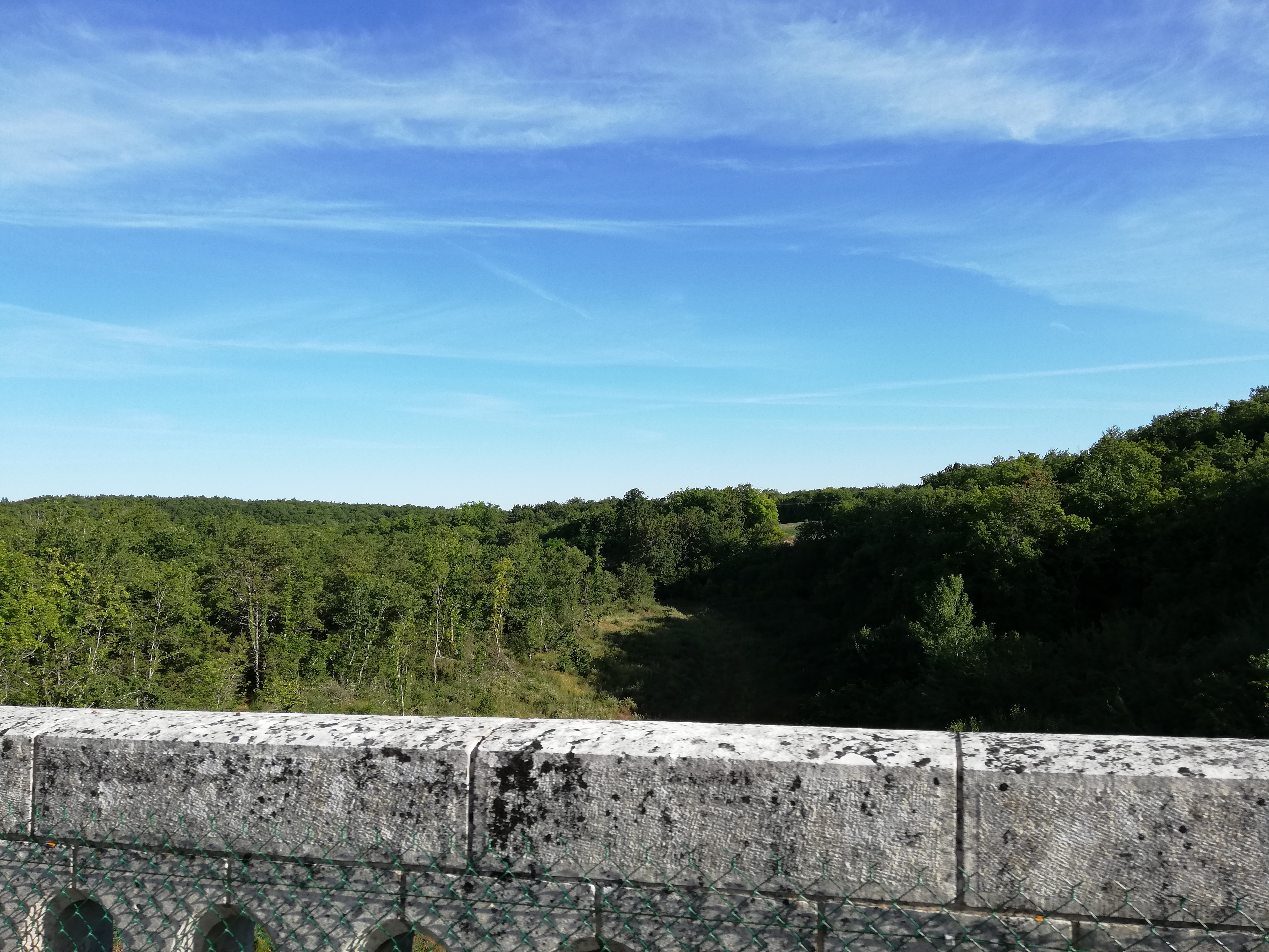 Photo n° 2 de l'avis de Gini.e fait le 12/07/2020 à 04:06