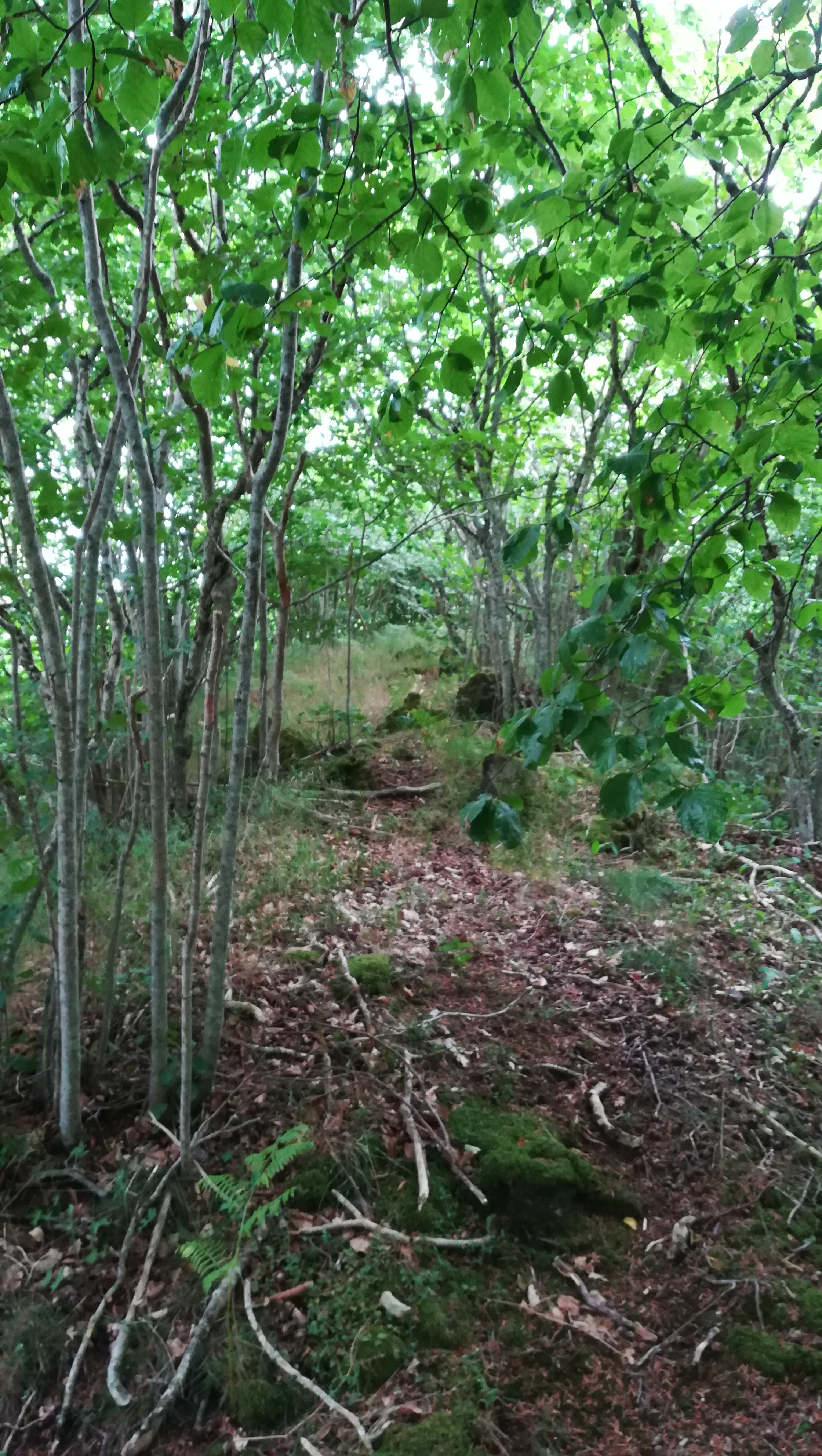 Photo n° 4 de l'avis de Alexandre.u fait le 24/07/2022 à 10:07