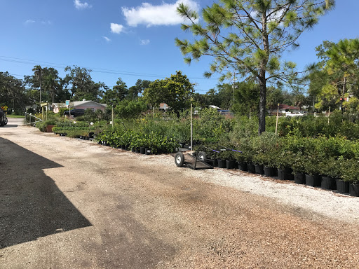Plant Nursery «Wilcox Nursery», reviews and photos, 12501 Indian Rocks Rd, Largo, FL 33774, USA