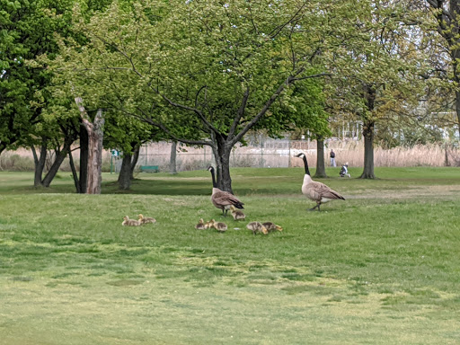 Golf Driving Range «North Woodmere Golf Course», reviews and photos, 750 Hungry Harbor Rd, Valley Stream, NY 11581, USA