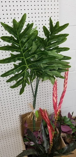 Home Goods Store «Old Time Pottery», reviews and photos, 1870 N Kings Hwy, Myrtle Beach, SC 29575, USA