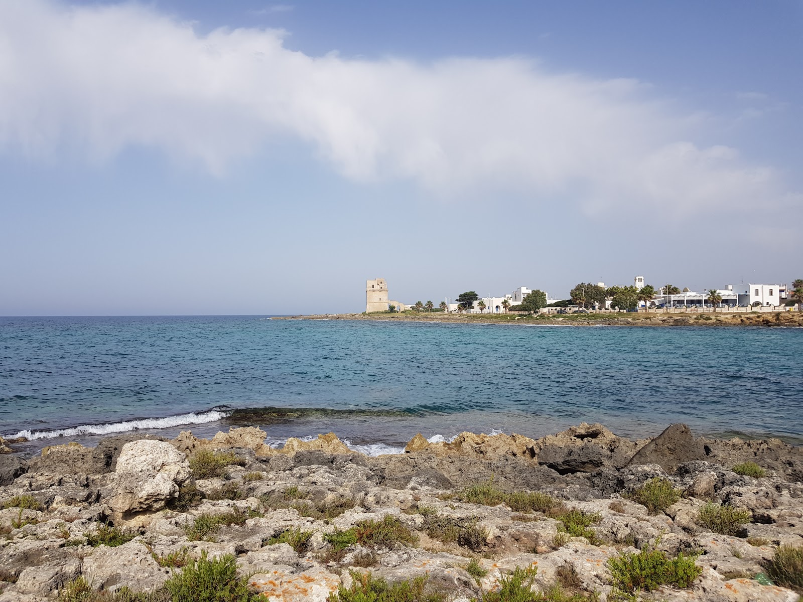 Foto di Spiaggia di Torre Colimena zona selvaggia