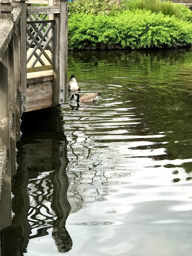 Golf Course «Eastmoreland Golf Course», reviews and photos, 2425 SE Bybee Blvd, Portland, OR 97202, USA