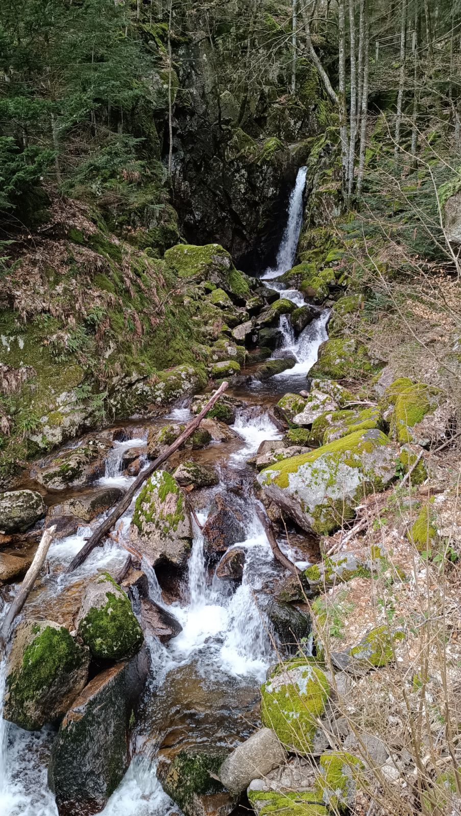Photo n° 3 de l'avis de Corentin. fait le 30/03/2024 à 17:13
