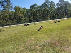Fort Stewart Dog Park - photo 25