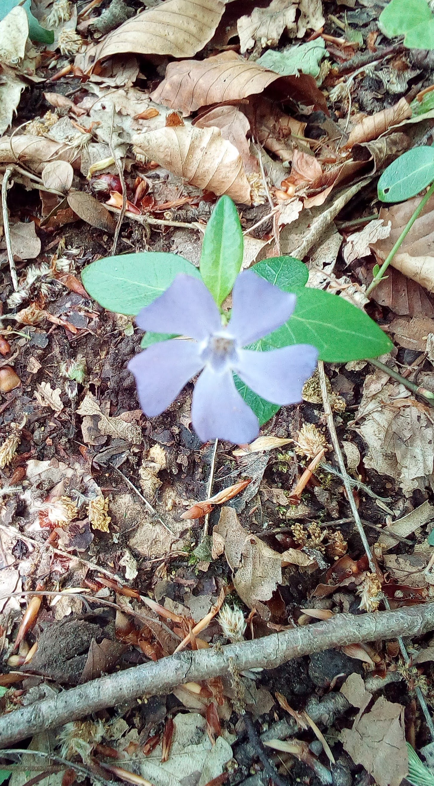 Photo n° 4 de l'avis de Cathy.u fait le 06/05/2018 à 20:53