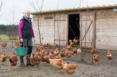 Ferme bio du plateau Briard à Mandres-les-Roses