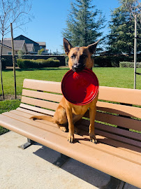 Malia's mobile Pet Service llc - Photo 1 - Car repair in , Antioch