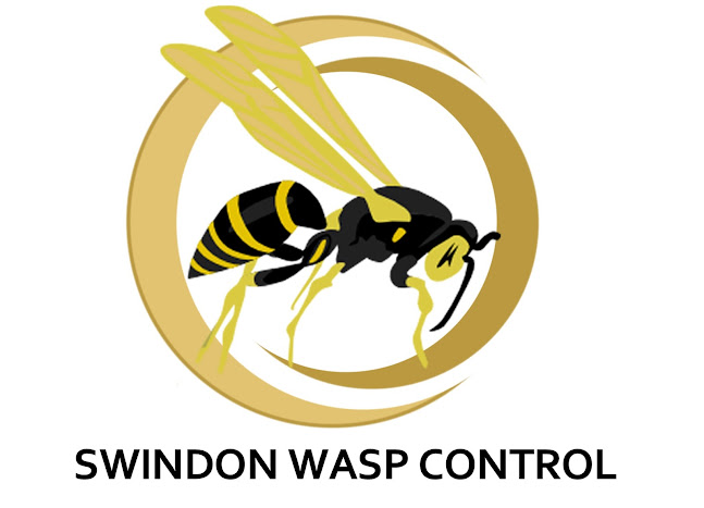 Reviews of swindon wasp control in Swindon - Pest control service