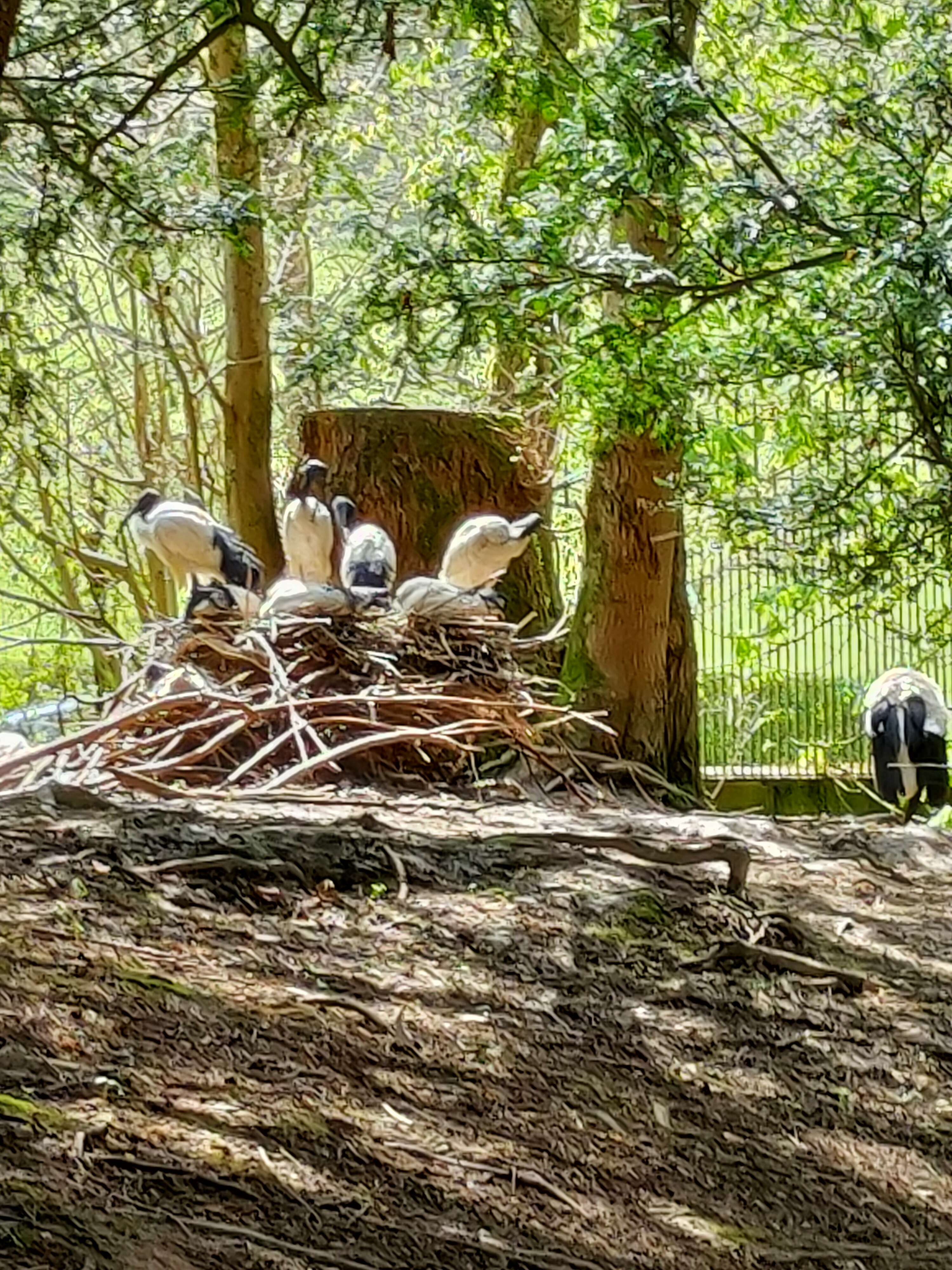 Photo n° 25 de l'avis de Eric.l fait le 16/04/2023 à 16:52