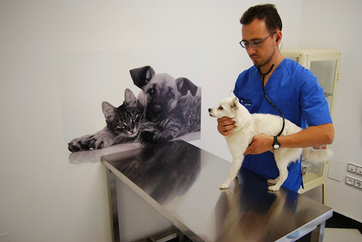 Amics Centre Veterinari en Xàtiva
