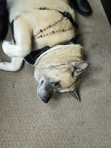 Pawn Shop «ABC Pawn Shop», reviews and photos, 1700 Mile Hill Dr, Port Orchard, WA 98366, USA