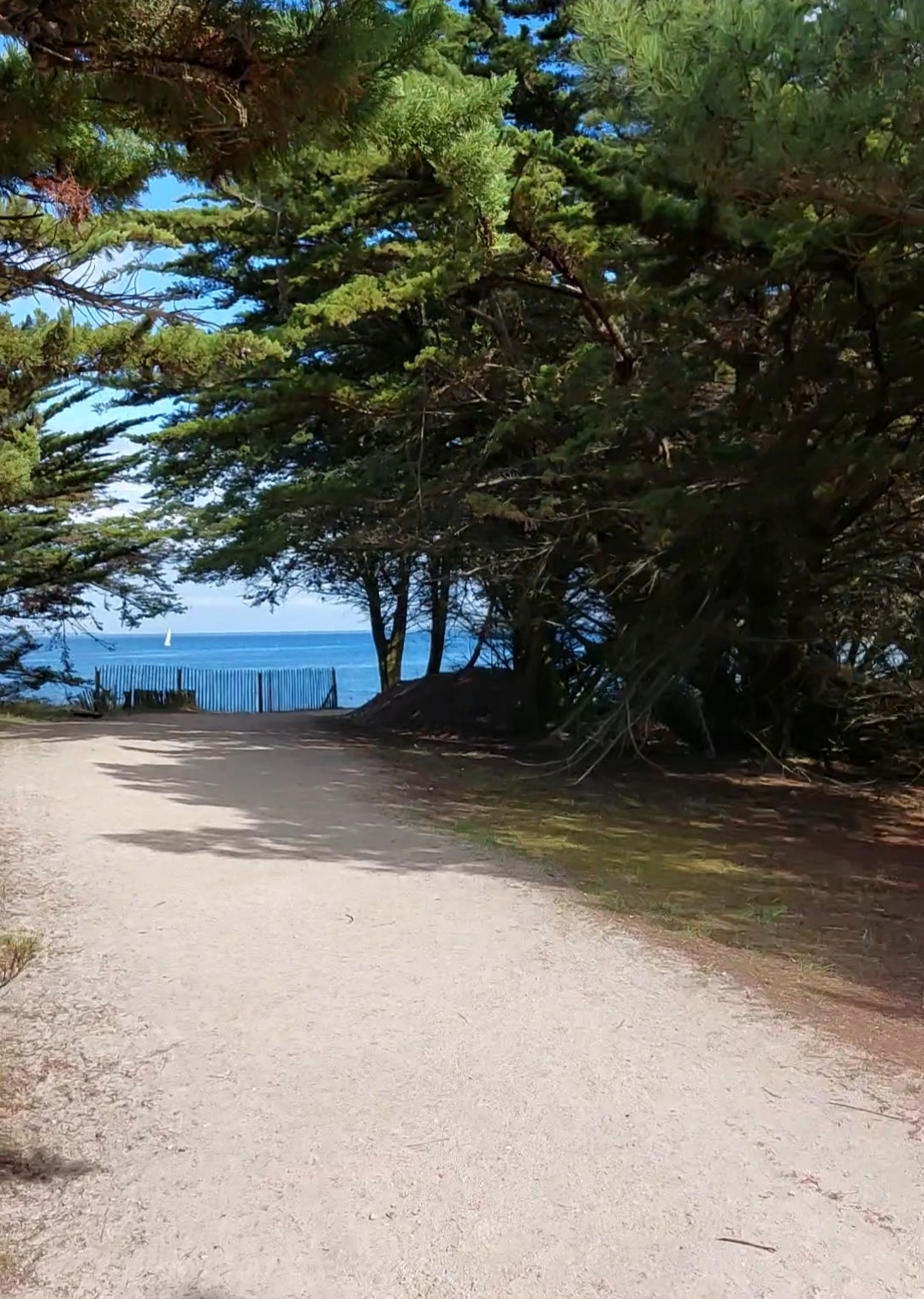 Photo n° 1 de l'avis de Odile.o fait le 25/08/2022 à 20:25