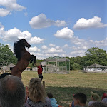 Photo n° 2 de l'avis de Samuel.E fait le 23/08/2018 à 13:37 pour Hippogriffe à Montbeugny