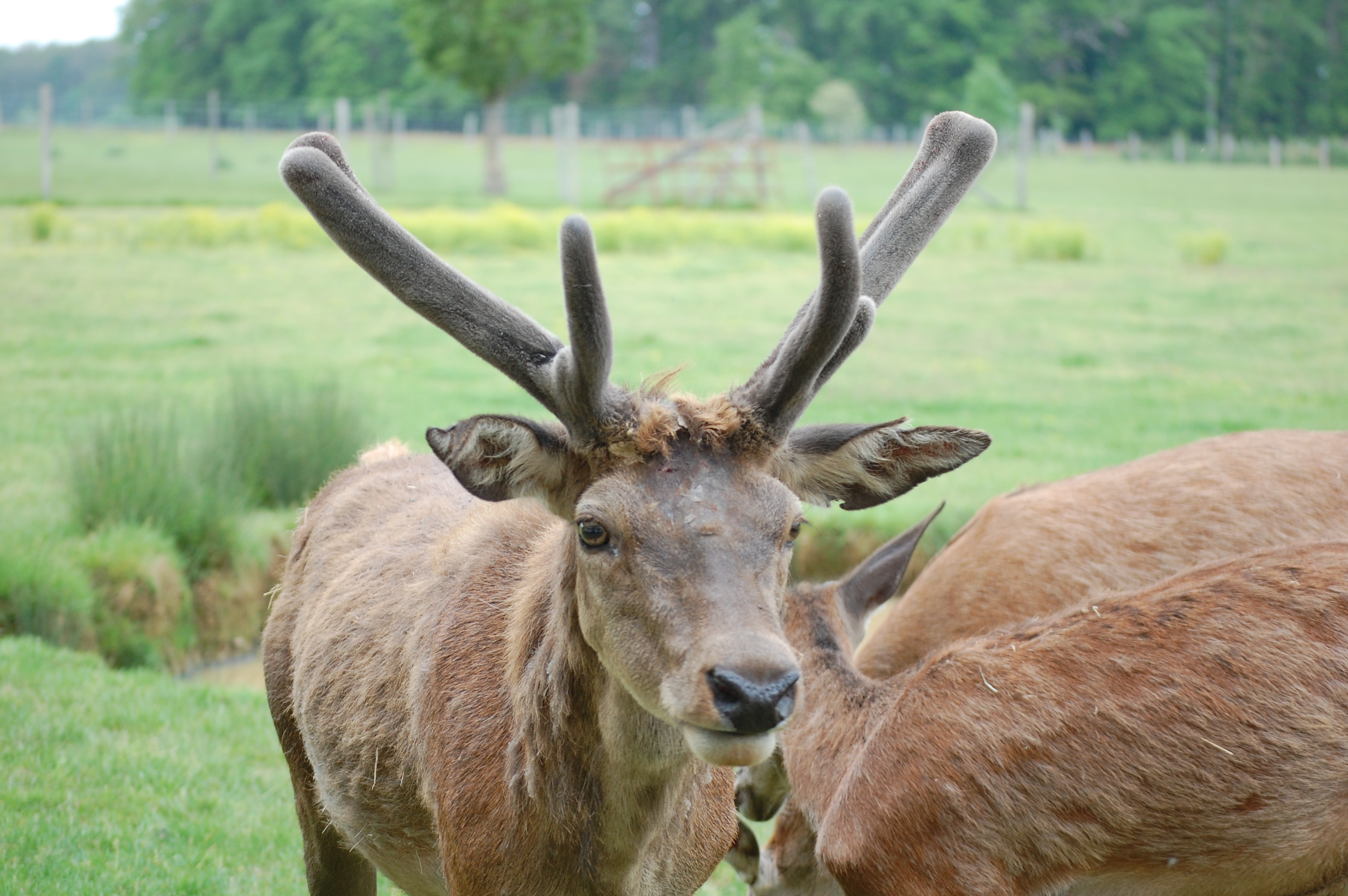 Photo n° 1 de l'avis de Raphaël.e fait le 16/05/2023 à 16:57