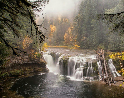 Monument «Mount St. Helens National Volcanic Monument Headquarters», reviews and photos, 42218 NE Yale Bridge Rd, Amboy, WA 98601, USA