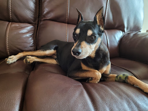 1127 W Kansas St, Liberty, MO 64068, USA