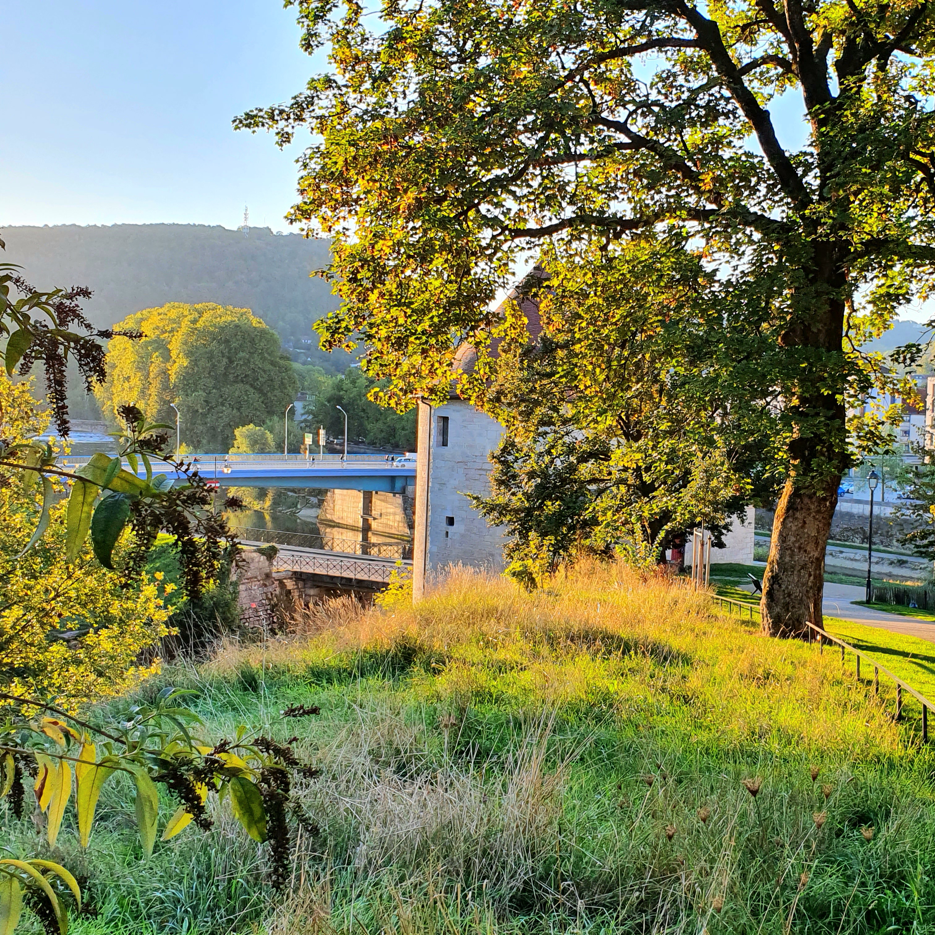 Photo n° 3 de l'avis de Robert.E fait le 20/08/2022 à 17:24
