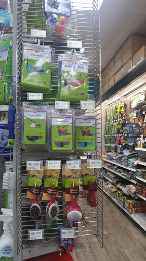 Pet Store «Petland South Orlando», reviews and photos, 3920 S Semoran Blvd, Orlando, FL 32822, USA