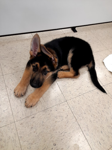 Pet Supply Store «Pet Palace Inc», reviews and photos, 253 Scranton Carbondale Hwy, Scranton, PA 18508, USA